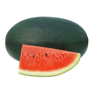 Meghana Watermelon From Known You Seed (India)-KYI
